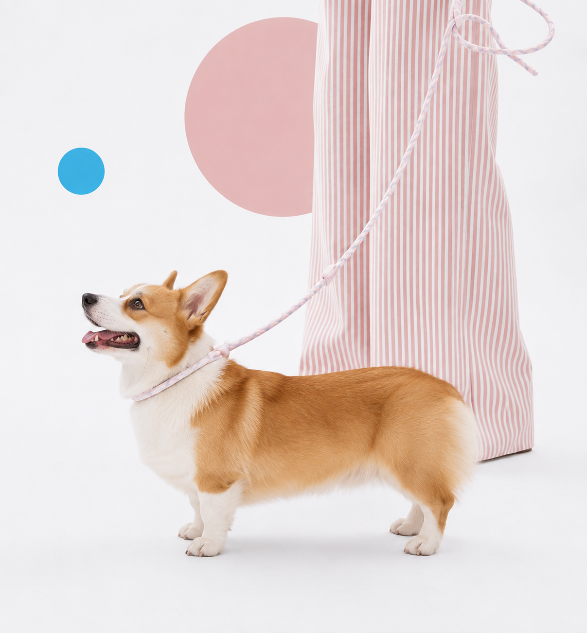 LuluWalk cover