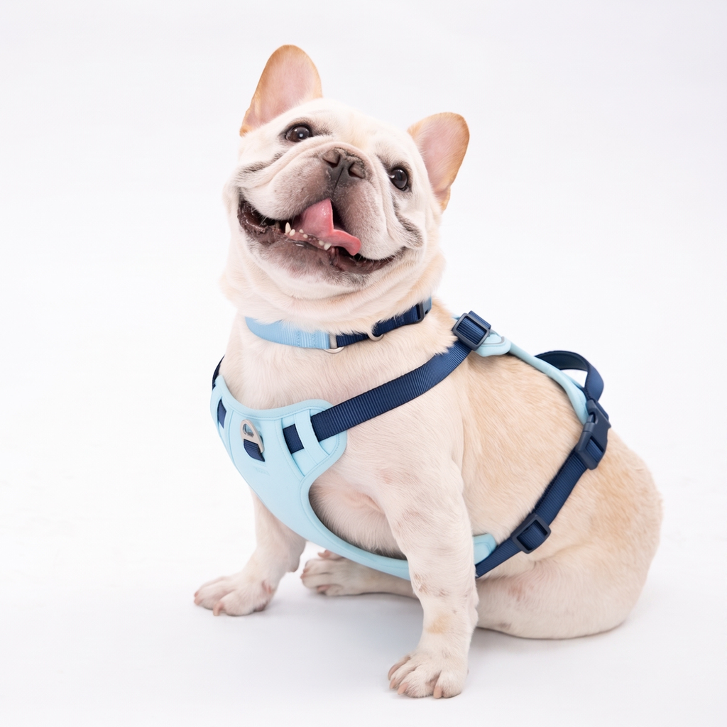 Lulupet No-Pull Dog Harness Leash Collar Set