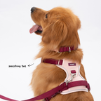 Lulupet No-Pull Dog Harness Leash Collar Set