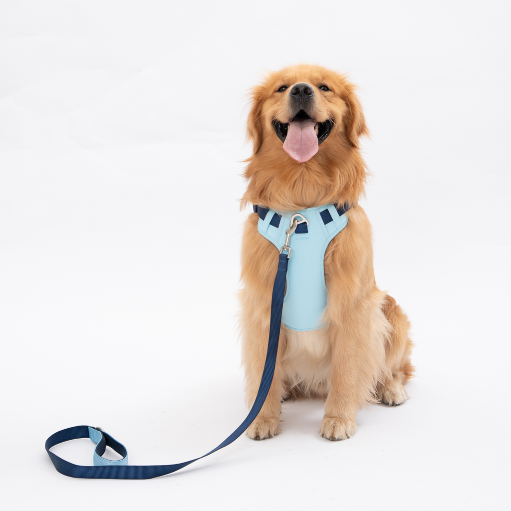 Lulupet No-Pull Dog Harness Leash Collar Set