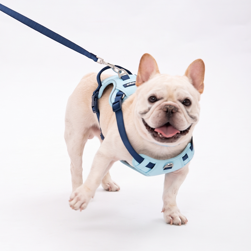 Lulupet No-Pull Dog Harness Leash Collar Set