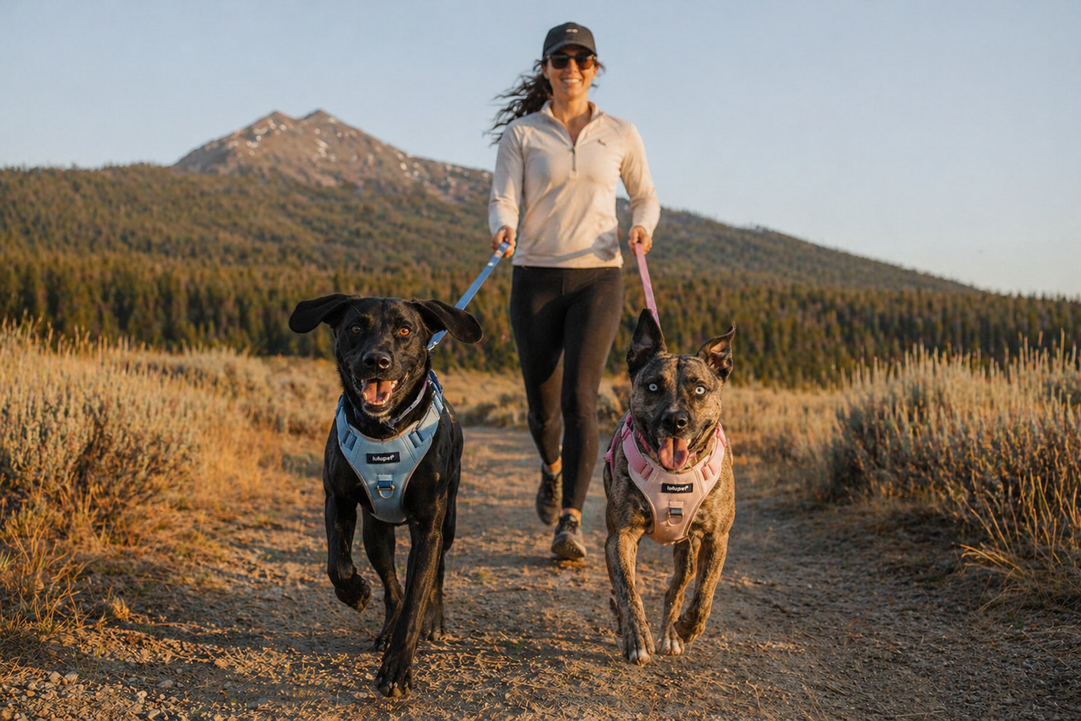 running with two dogs