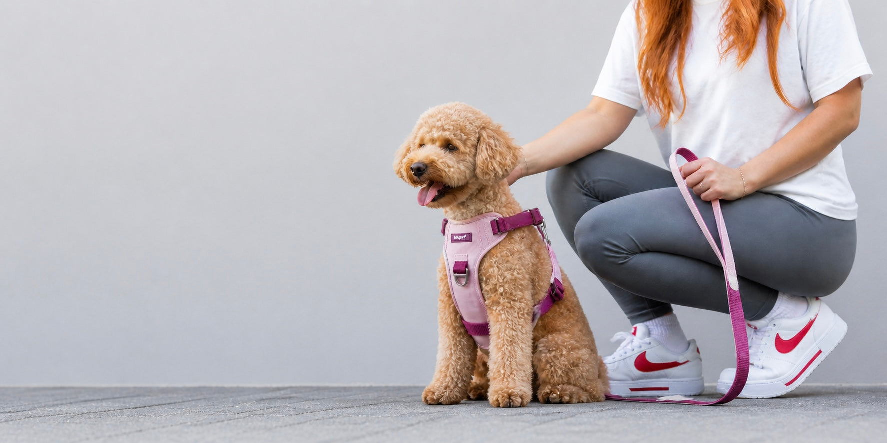 Person with a dog wearing a pink harness on a gray floor