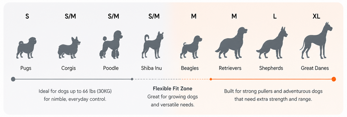 Dog size chart with various breeds and their corresponding sizes on a beige background.