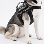LuluPet Tactical Dog Harness for Medium to Large Dogs